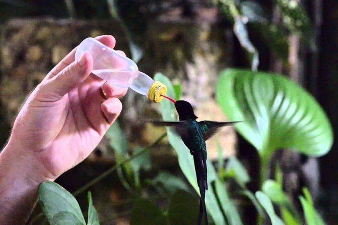 Rockland Bird Sanctuary Private Tour - Price and value: what $120 buys (and what to watch)