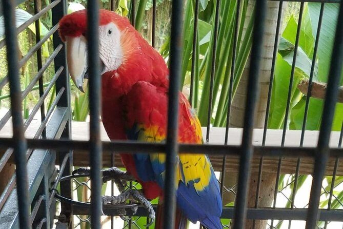 Rockland Bird Sanctuary Private Tour - Who this tour suits best (and who might want to choose something else)