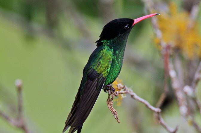 Rockland Bird Sanctuary Private Tour - Booking smart: how far ahead to plan and what to prepare