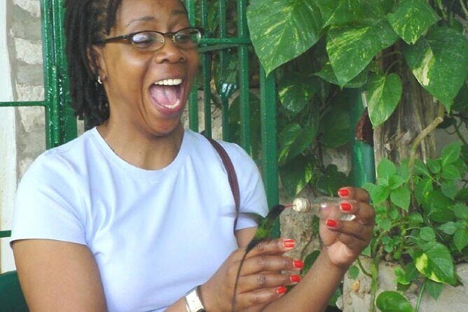 Rocklands Bird Sanctuary & City Highlights plus Shopping from Montego Bay - Key things I’d zero in on