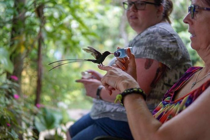 Rocklands Bird Sanctuary & City Highlights plus Shopping from Montego Bay - Montego Bay in one day: why the short stops can still work