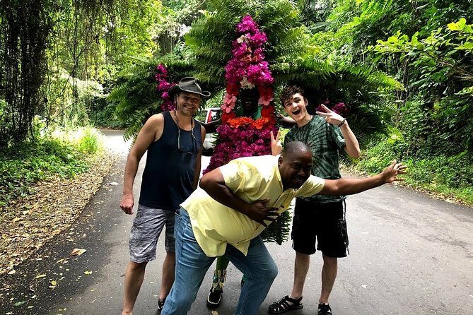 Taste of Jamaica Food Tour from Ocho Rios - Caribbean Sea ridge photo stops (and where optional drinks fit)