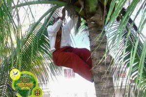 The AMAZING Montego Bay Tour - Port or hotel pickup: how the logistics actually feel