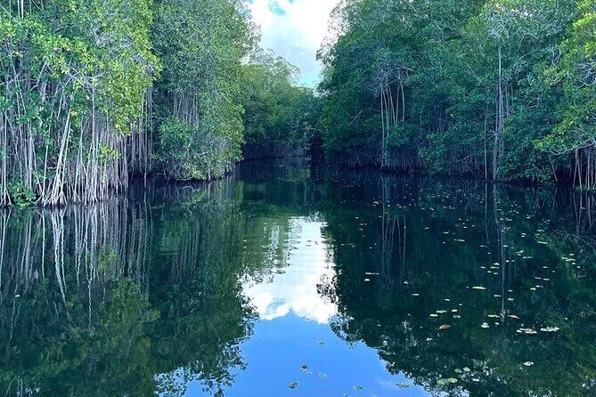 Tour to Black River and YS Falls - How the timing feels: 8.5 hours, three stops, and transport that counts