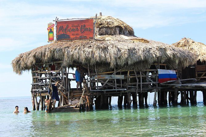 YS Falls, Black River Safari, and Floyd's Pelican Bar Day-Trip (Transportation) - Key highlights you’ll feel right away