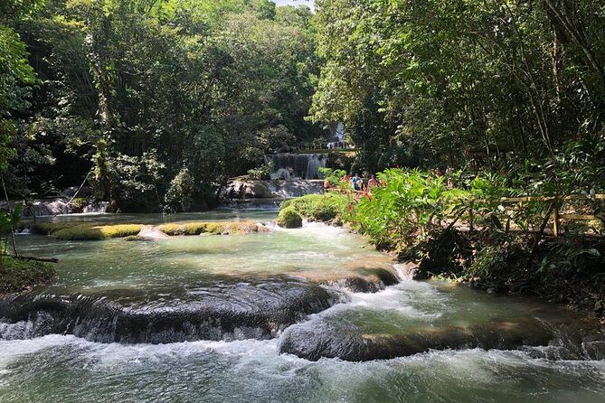 YS Falls, Black River Safari, and Floyd's Pelican Bar Day-Trip (Transportation) - Private, air-conditioned transport from Montego Bay (and what it changes)