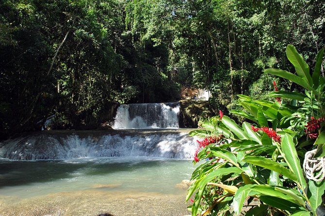 YS Falls, Black River Safari, Appleton Rum Tour OR Pelican Bar (Choose Up to 3) - Stop 1: Black River Safari for crocodiles and a long “wow” moment