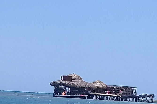 YS Falls & Pelican Bar Tour - Marlon and the guide experience: why the driver can make the day