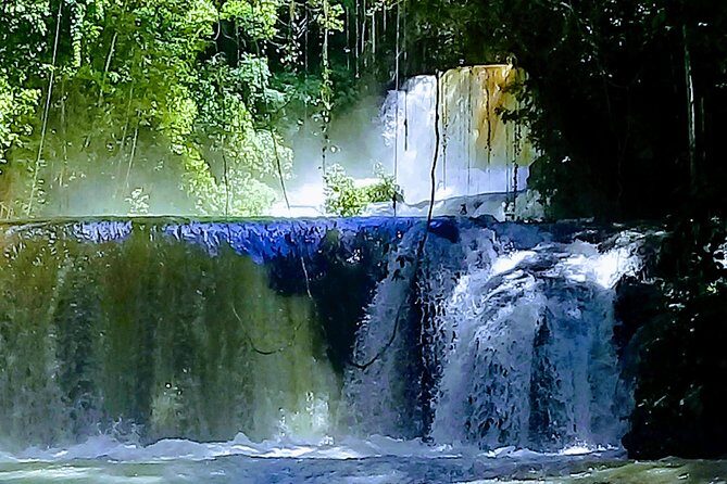 YS Falls & Pelican Bar Tour - Who this tour fits best—and who might want a different plan
